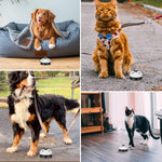 Lightweight portable pet housebreaking bell set for puppies and cats
