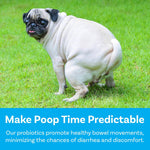 PawSafe USA made puppy and adult dog probiotics for itchy skin allergy support.