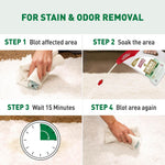 Nature's Miracle urine destroyer plus for dogs flip and go sprayer extension