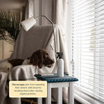 Using Begley's enzyme cleaner on pet urine stains