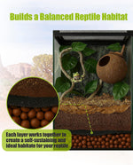 Reptile tank accessories package for bioactive habitats.
