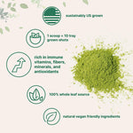 Micro Ingredients organic wheat grass powder scoop and fine texture display