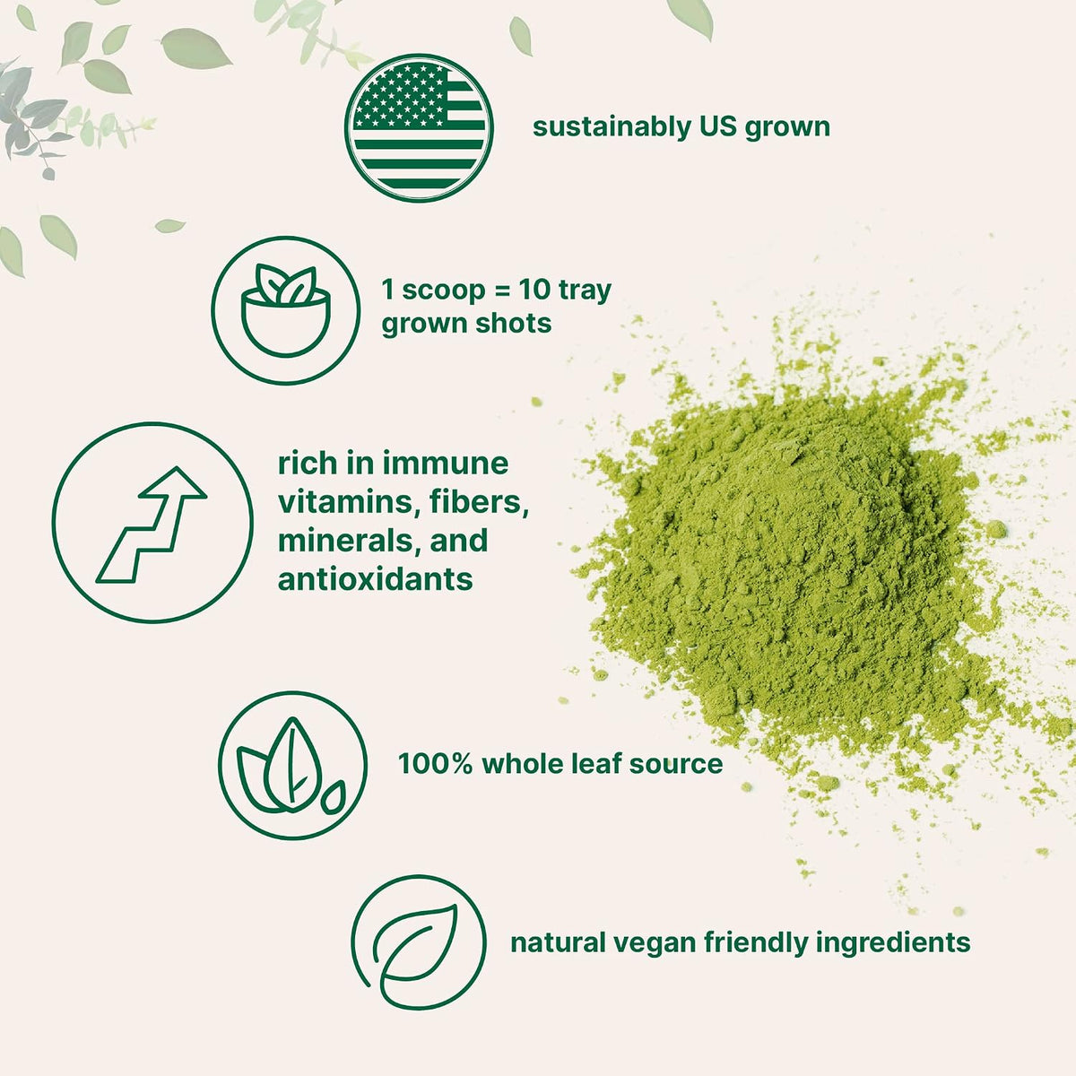 Micro Ingredients organic wheat grass powder scoop and fine texture display