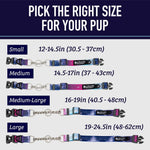 Leash Boss imported pet collar showing separate leash loop and identification tag rings