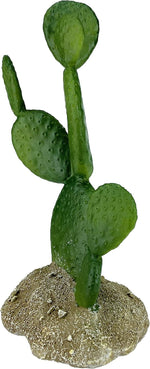 Multipet reptile desert cactus ornament close up texture