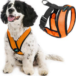 Gooby Comfort X Head In Dog Harness Orange Medium front view