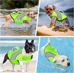 Dog safety swimsuit showing breathable mesh underbelly for comfort
