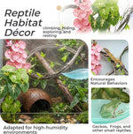 Natural coconut shell hide included in Gluzoo gecko kit