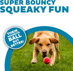 Outward Hound interactive squeaky tennis balls in bright blue green and pink shades