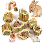 Abizoo Rabbit Chew Toys front view of premium natural papaya wood treats pack