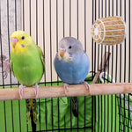 Merryhapy bird nest accessory set components