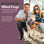 Muffin's Halo Guide for Blind Dogs adjustable harness strapping mechanism close up