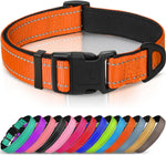 Teal Joytale dog collar on a dog model