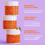 Side view of the authentic USA imported Korean beauty bundle packaging.