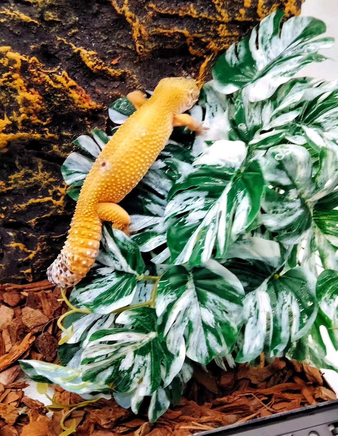 Woyrise chameleon tank accessories showing artificial climbing vine layout