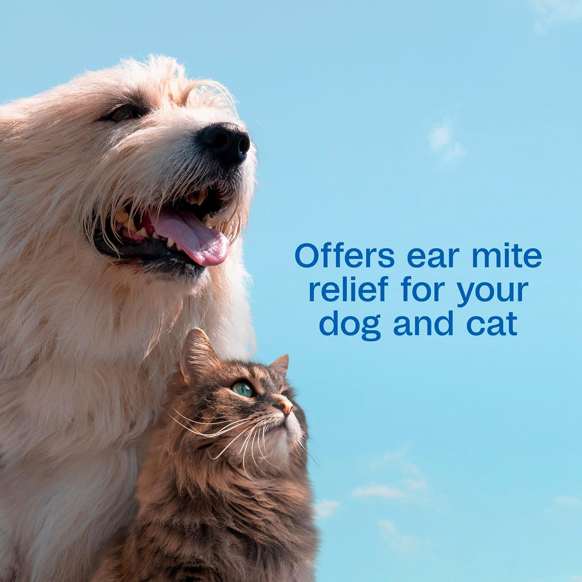 Adams Ear Mite Treatment bottle next to a dog and cat