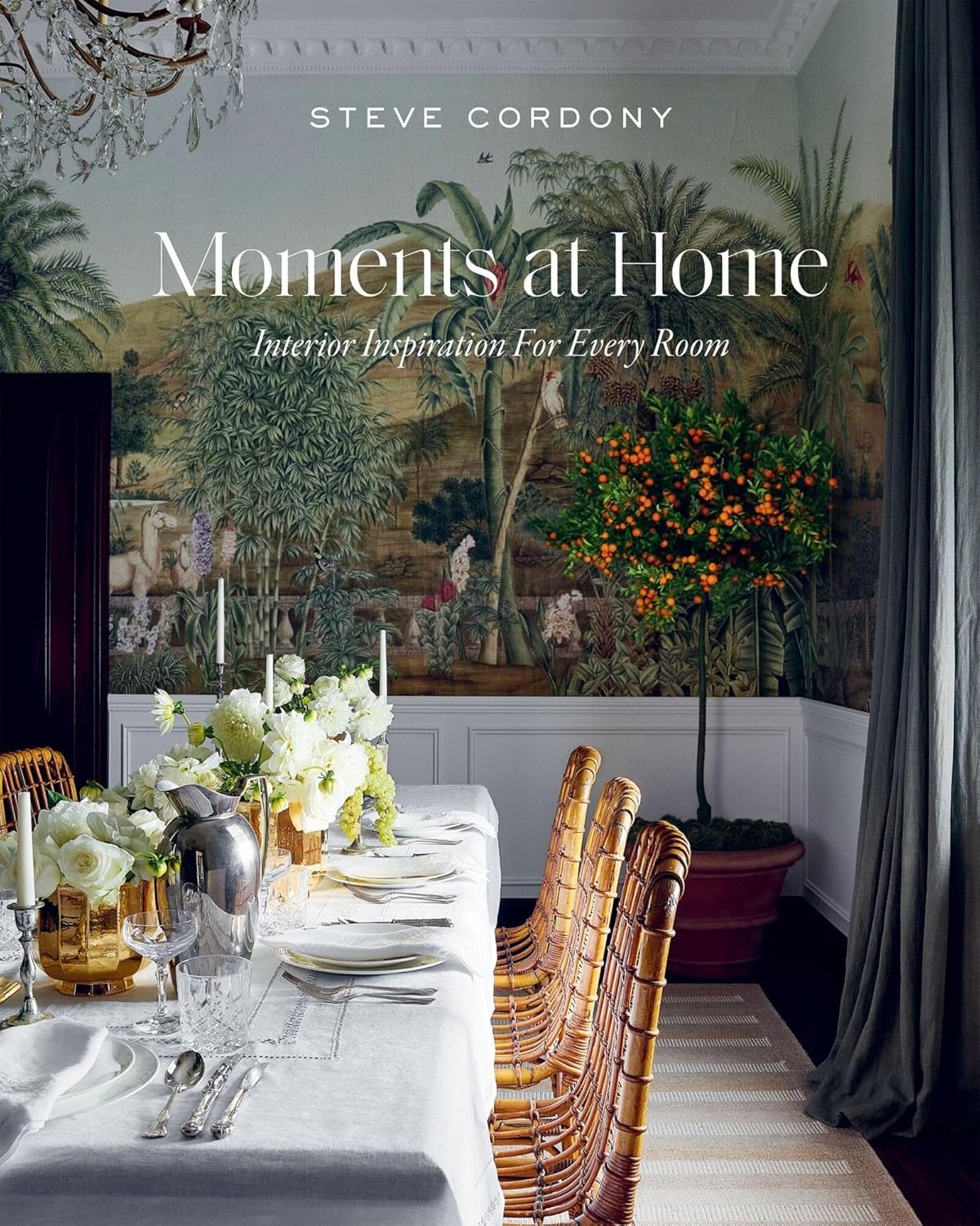 Steve Cordony Moments at Home book front cover