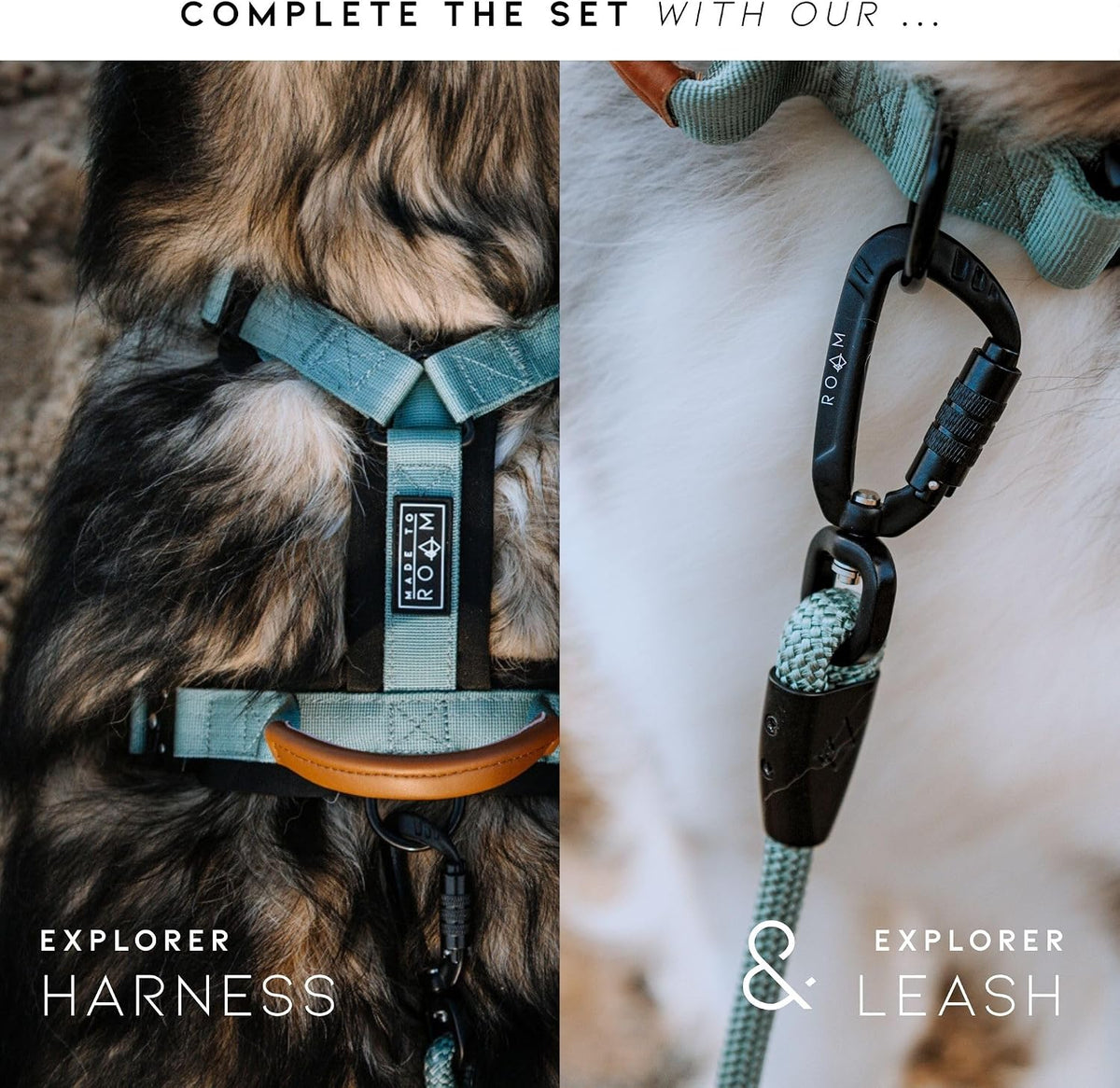 Made To Roam Explorer dog collar packaging angle