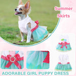 Chihuahua puppy showcasing the lightweight summer pet outfit back view