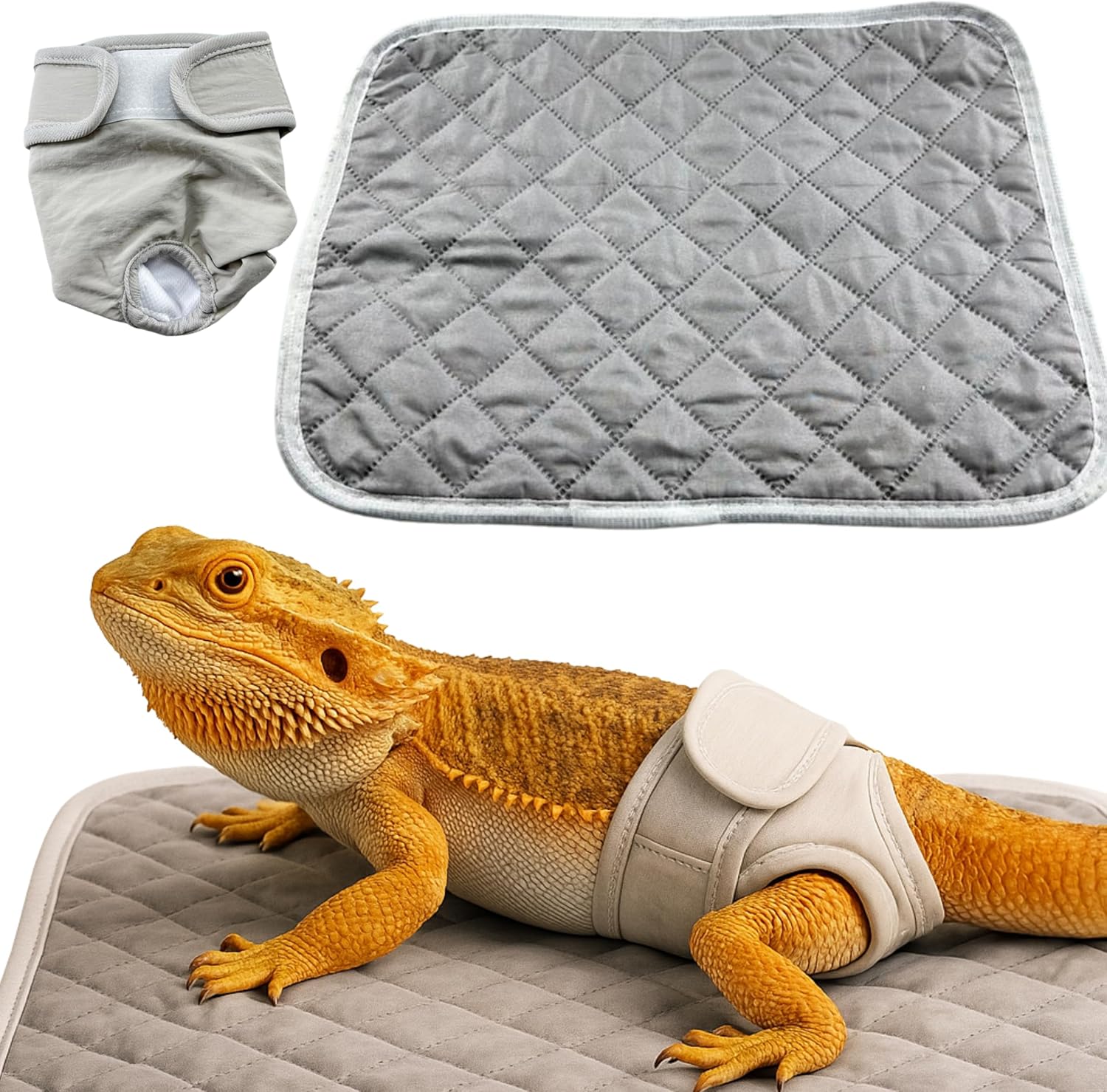 Homedy Crafts bearded dragon diaper with reusable pad front view