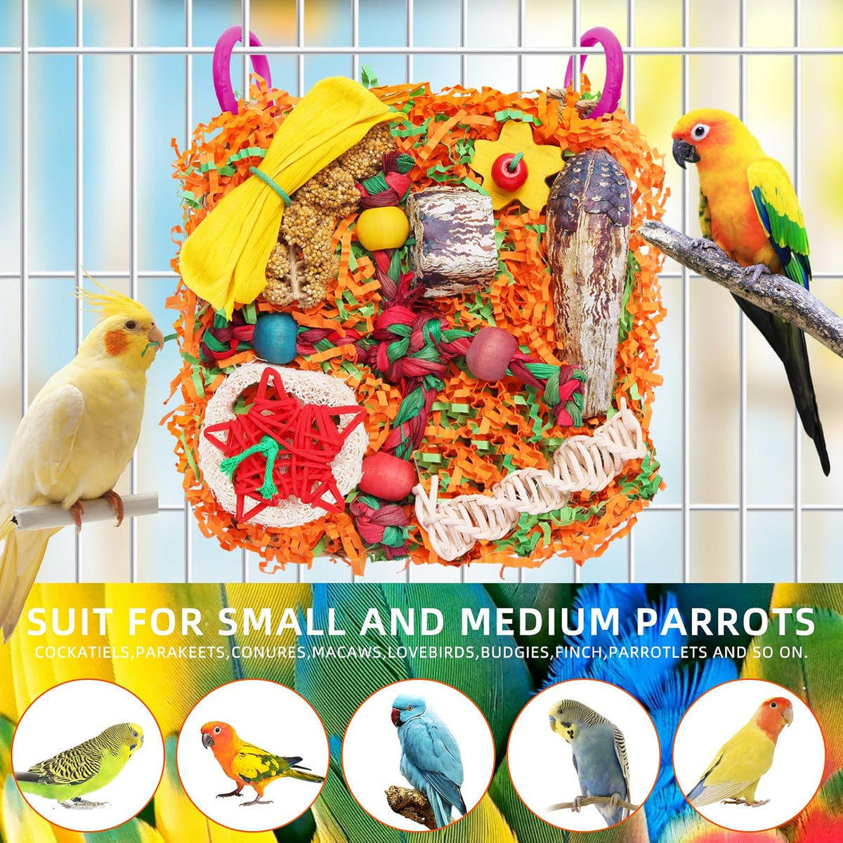 Natural seagrass hanging cage toy with loofah slices and colorful wood blocks