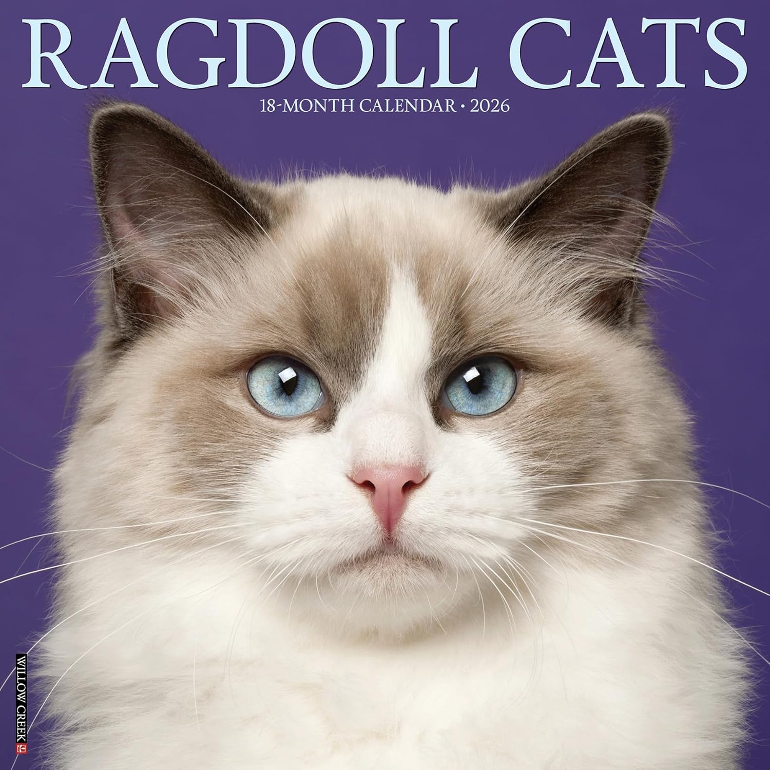 Ragdoll Cats 2026 Wall Calendar - Image 1