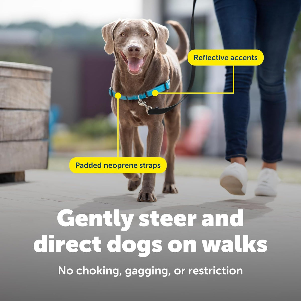 Reflective details on PetSafe Deluxe Easy Walk harness