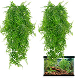 RAINFLOW 2PCS Reptile Plants for Terrarium - Fake Hanging Terrarium Plants, Artificial Boston Fern for Bearded Dragon Snake Geckos Hermit Crab Lizard Chameleon Turtle Reptile Decor(L31.5) - Image 9