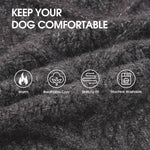 Dark grey large breed dog turtleneck winter clothing close up