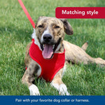 Coastal Pet three eighth inch width single ply dog leash showing fray resistant webbing