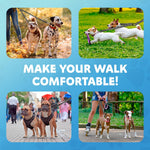Premium nylon double dog lead designed for medium and large dog breeds.