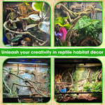 Bearded dragon resting on natural looking reptile jungle decor