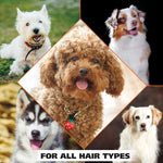 Genuine Wahl USA pet shampoo bottle label details