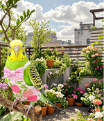 Fruit themed parakeet diaper suit pack imported to India by Dropy