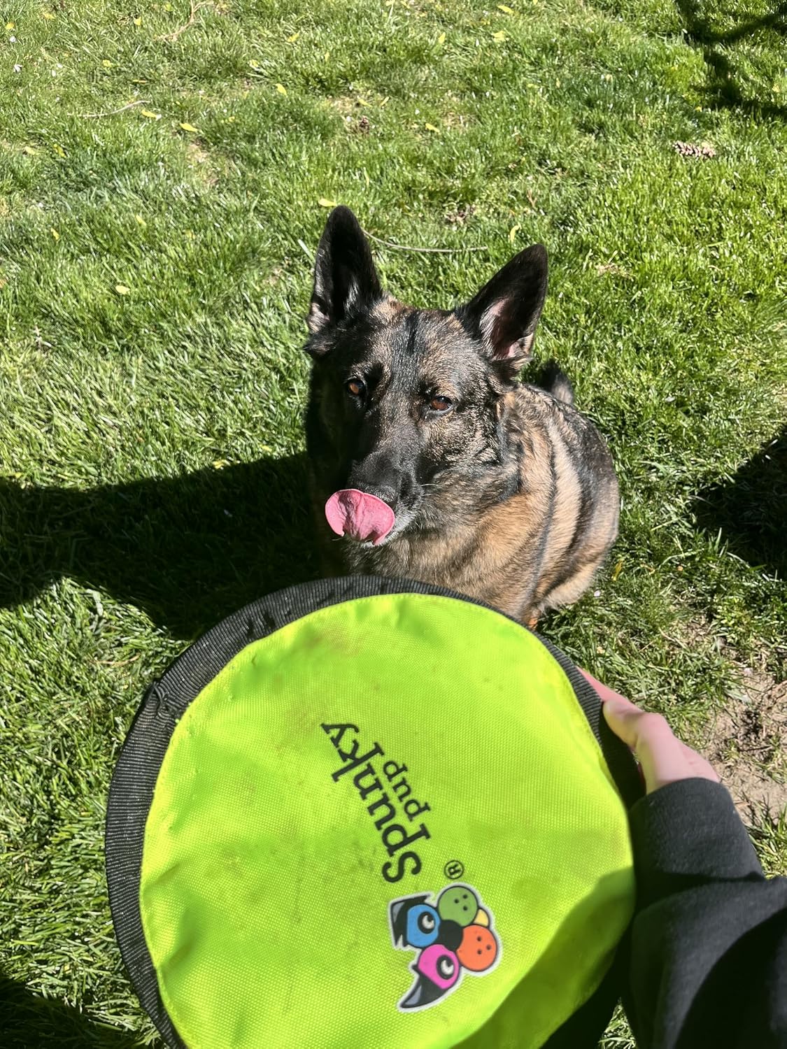 Spunky Pup flying fetch toy floating fabric disc close up