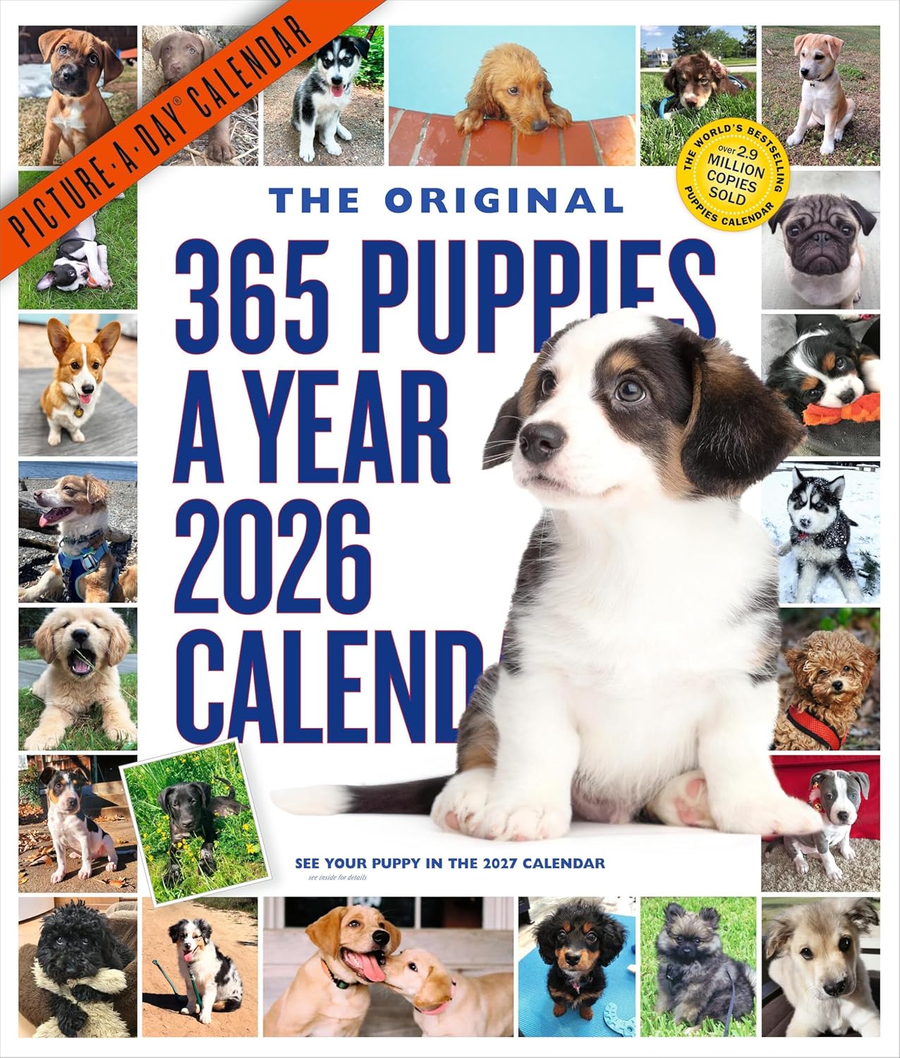 365 Puppies-A-Year Picture-A-DayÂ® Wall Calendar 2026: The World's Favorite Puppy Calendar - Image 1
