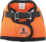 Small breed dog wearing lime green Worthy Dog harness