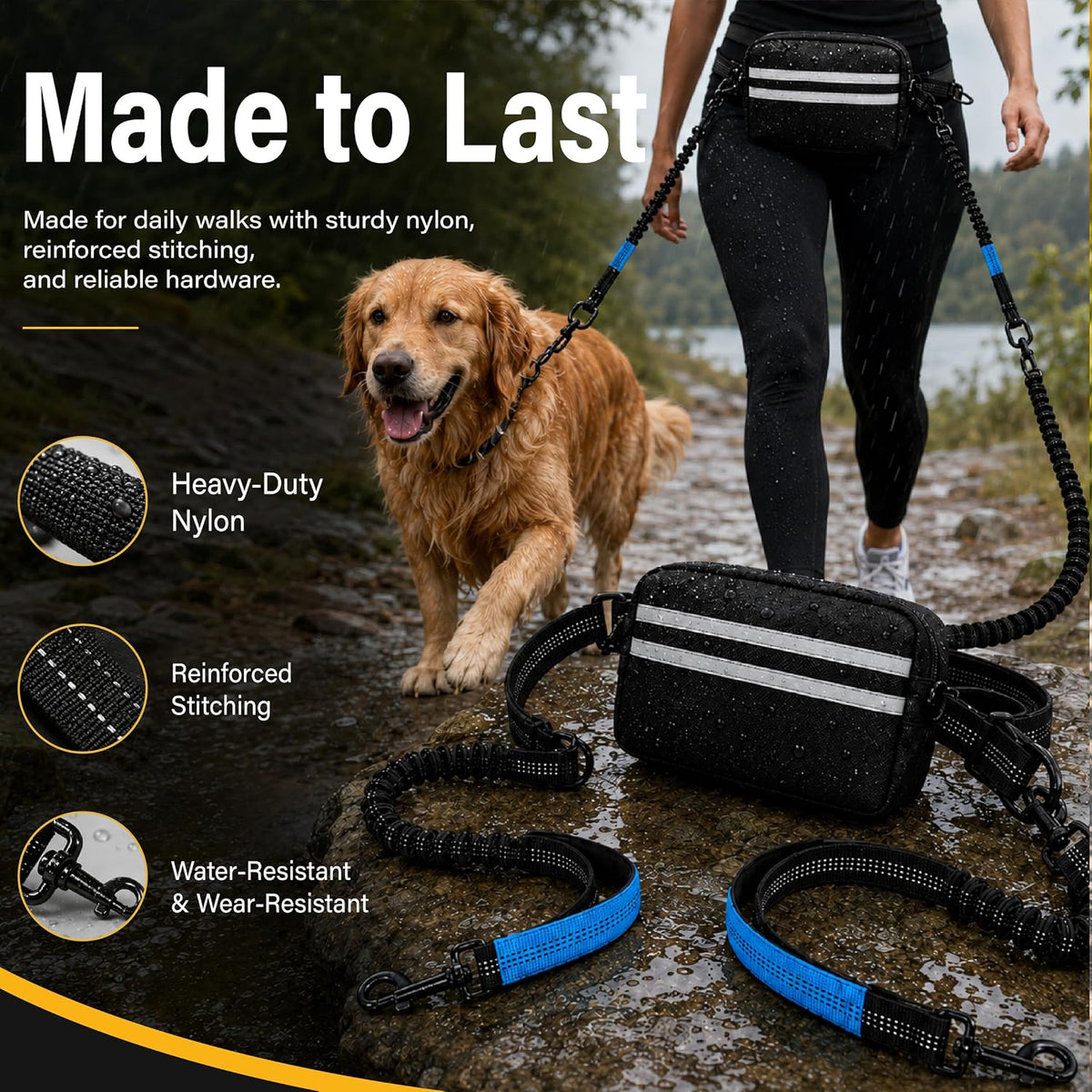 Two medium dogs walking securely on a dual bungee leash system attached to a waist belt.