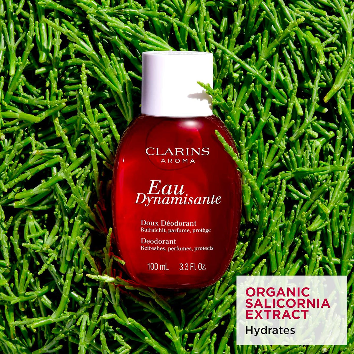 Clarins treatment fragrance spray bottle showcasing label and size details