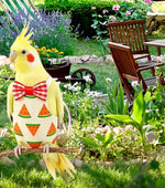 Washable bird nappy showing the inner waterproof lining layer
