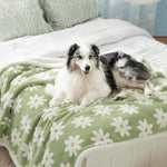 Le Sure waterproof dog blanket front view