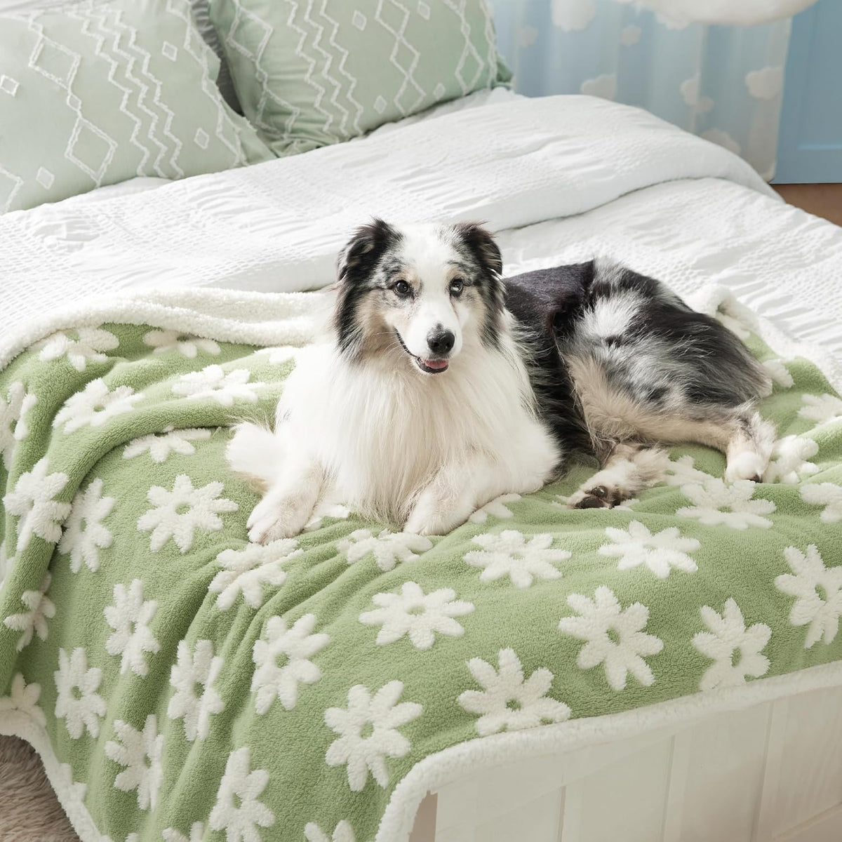 Le Sure waterproof dog blanket front view