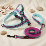 Didog brand logo and product packaging for dog harness