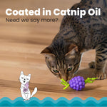 Catstages Bouncing Grape Teether toy displayed for kittens