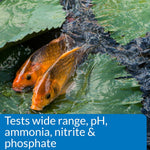 Laminated color matching cards for pond water analysis