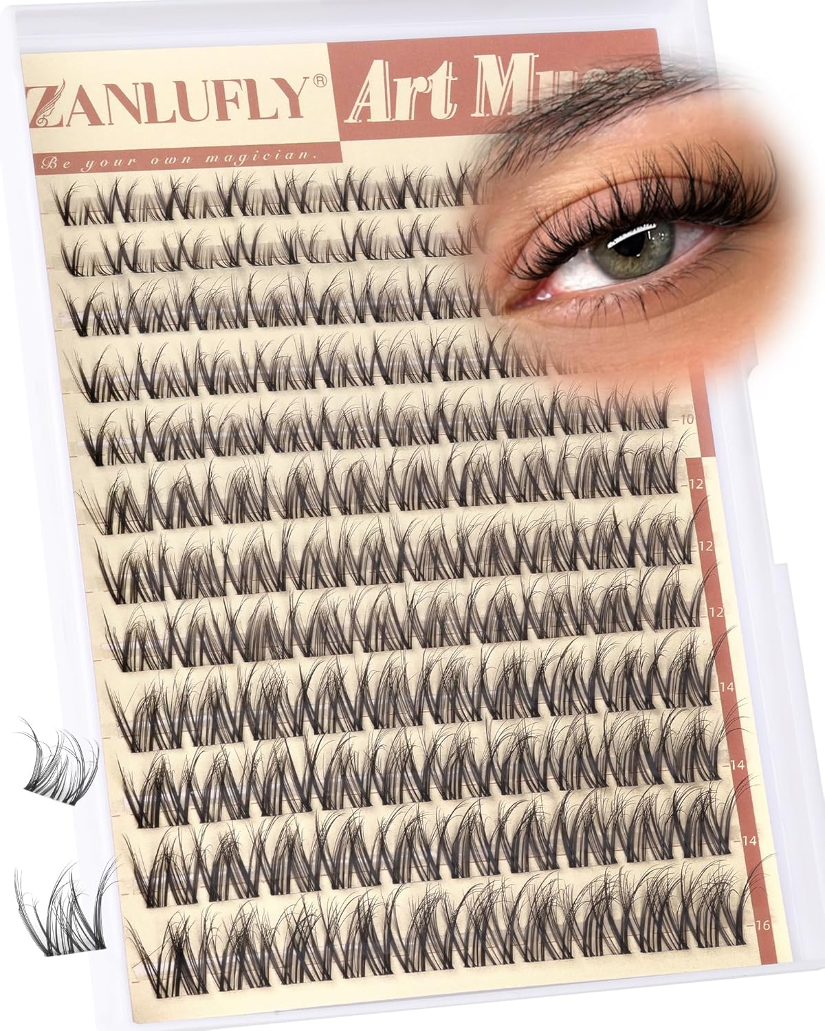 Spider Lash Clusters Breeze Wispy Eyelash Clusters Natural Cluster Eyelash Extensions Daily Cluster Lashes DIY 8-16mm Individual Eyelashes Spider Lashes D Curly with Clear Band by zanlufly - Image 1