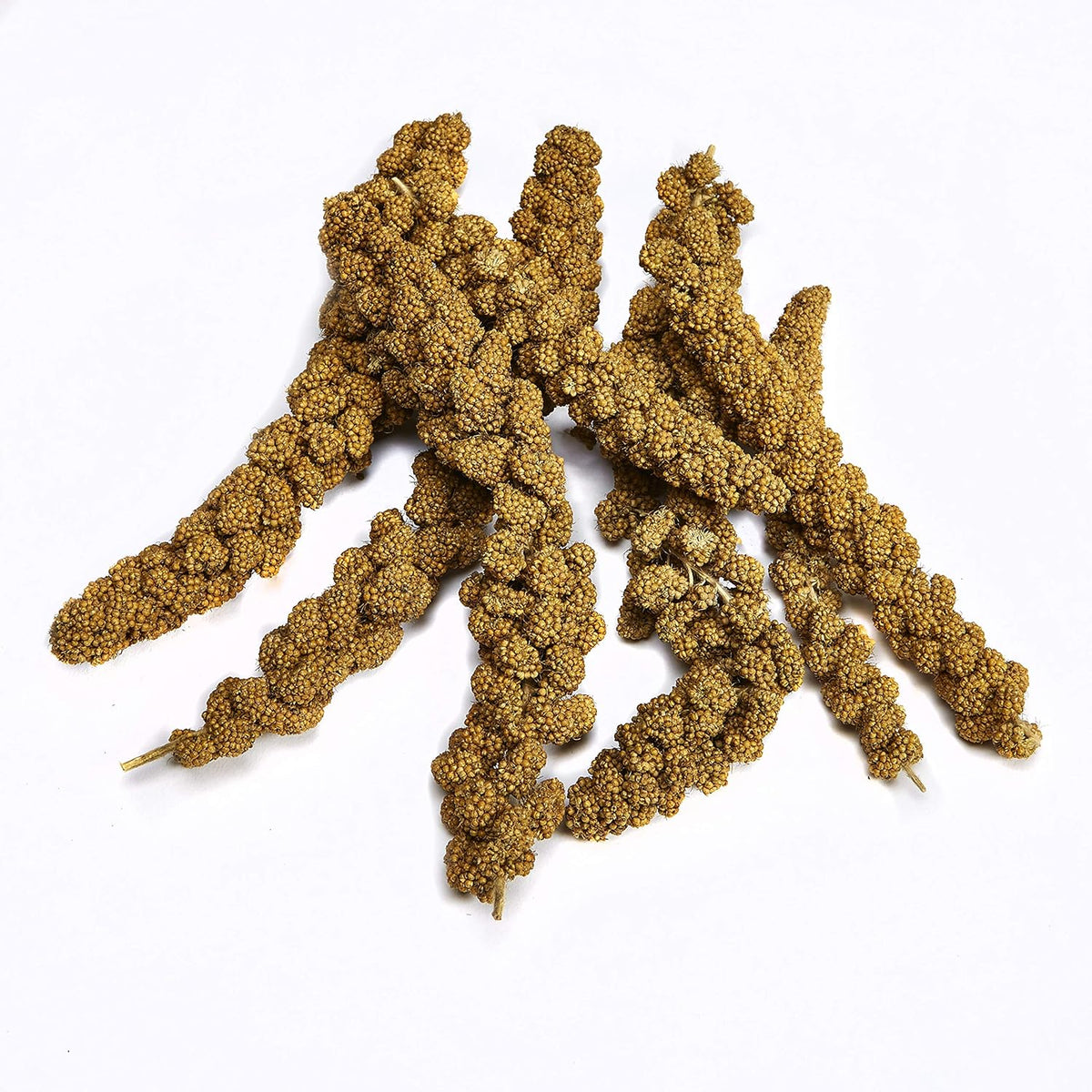 Kaytee Spray Millet Treat for Pet Birds, 7 Ounce - Image 3