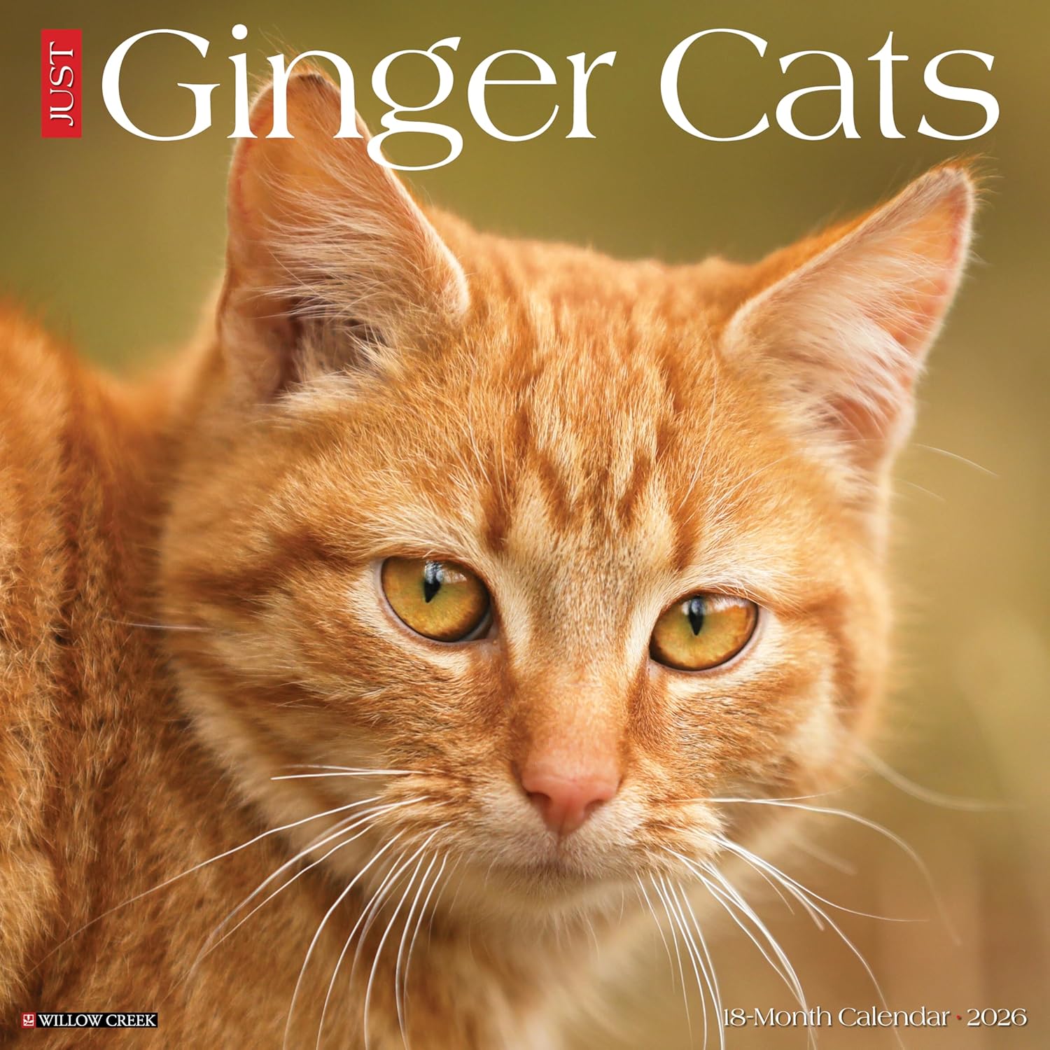 Ginger Cats 2026 Wall Calendar - Image 1