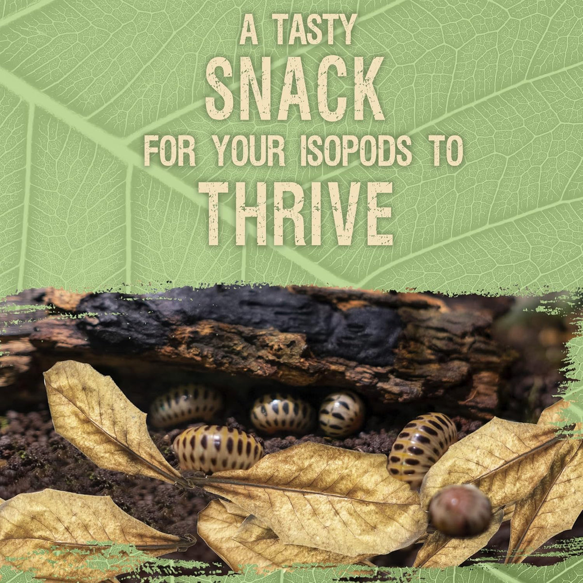 Organic leaf litter substrate from SunGrow for spider and tarantula enclosures