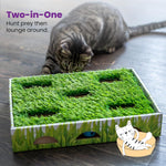 Top down perspective of cat toy dimensions and structure